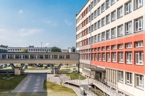 开云体育在线登入-中国篮球青训教练员专业能力提升及培训体系建设，篮球青训师资格证好考么