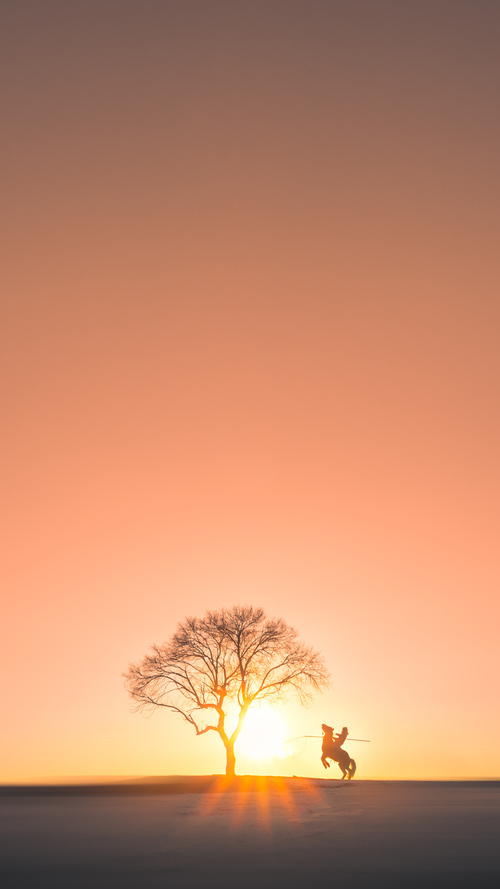 开云官网首页-前半程澳女队领先 中队后程反扑