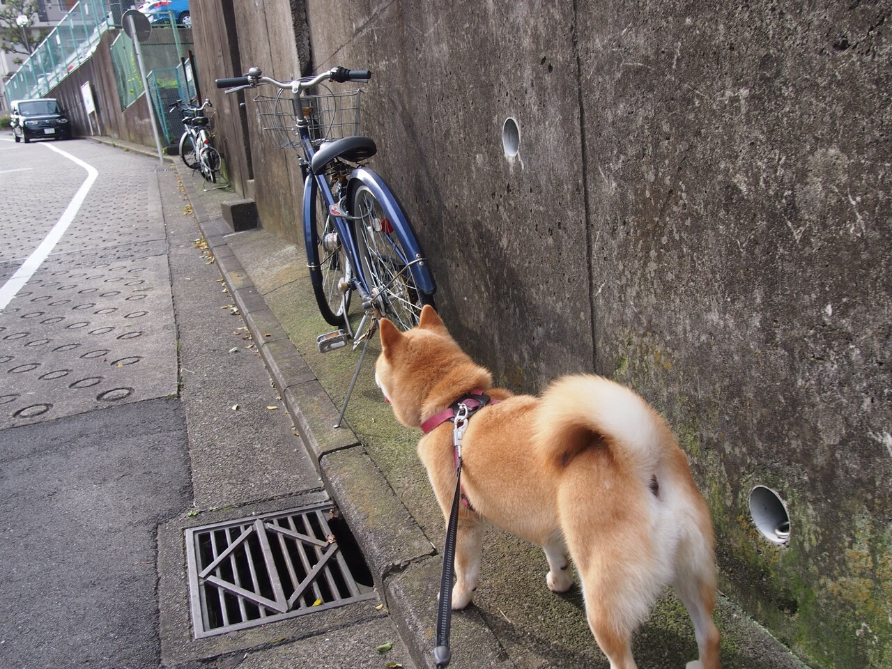 开云官方-未来足球场馆智能照明系统实现节能减排目标,足球场照明方案